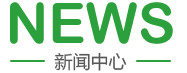 插逼破处片子